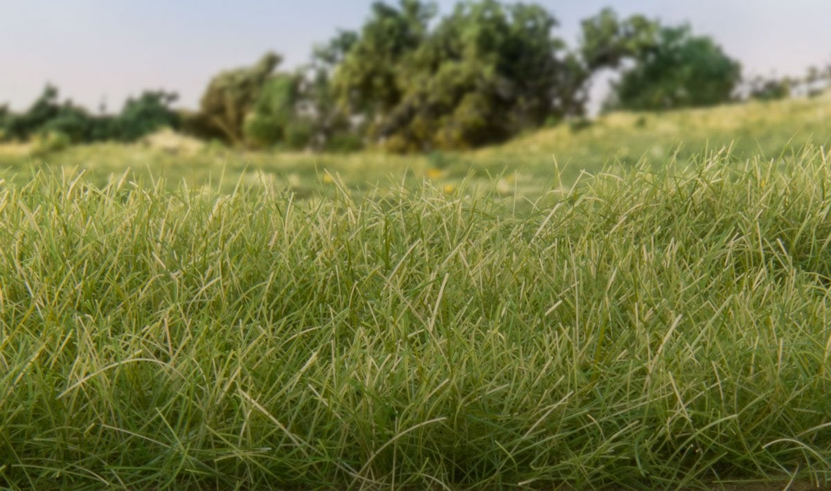 Woodland Scenics 614 Static Grass, Medium Green, 2mm, 70 gram bag - House of Trains