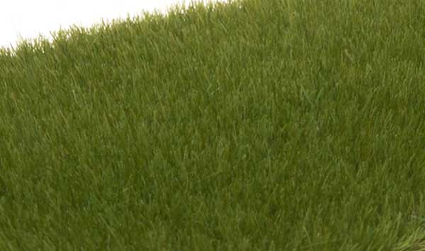Woodland Scenics 617 Static Grass, Dark Green, 4mm - House of Trains