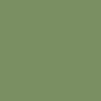 Mission Models MMP-079, RAF Interior Green, Mecha Deep Green, Water Based, 1 fl oz