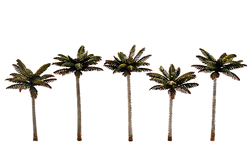 Woodland Scenics TR3597 Palm Trees, 3" -  3-3/4" (5 trees)