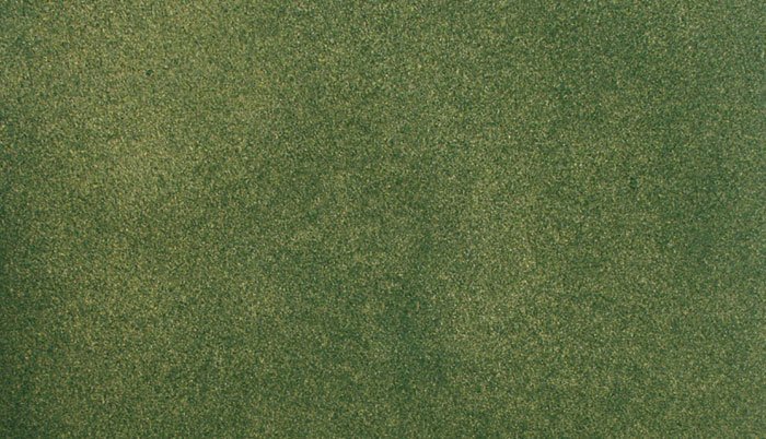 Woodland Scenics RG5172, Grass Mat, 25" x 33" Medium Green