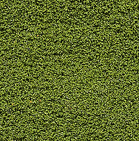 Woodland Scenics 145 Bushes Bag, Light Green (21.6 cu in)