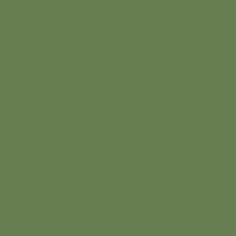 Mission Models MMP - 059, US Interior Green FS 34151, Water Based, 1 fl oz - House of Trains