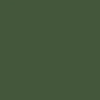 Mission Models MMP - 077, RAF Dark Green, Water Based, 1 fl oz - House of Trains
