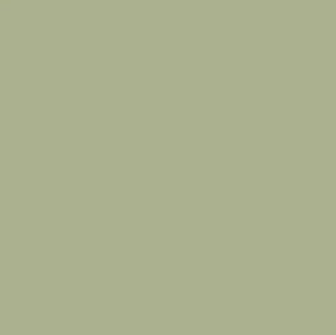 Mission Models MMP - 080, RAF Underside Sky, Mecha Pale Green, Water Based, 1 fl oz - House of Trains