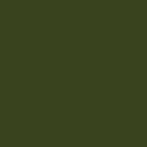 Mission Models MMP - 128, IDF Green (IDF Current AFV), Water Based, 1 fl oz - House of Trains