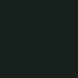 Tru Color TCP - 273 Great Northern Dark Grey Paint 1 ounce - House of Trains