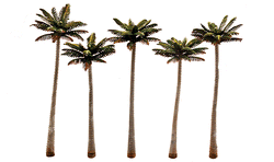 Woodland Scenics TR3598 Palm Trees, 4-3/4" -  5-1/4" (5 trees)