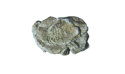 Woodland Scenics 1237, Rock Mold, Wind Rock - House of Trains