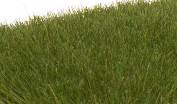 Woodland Scenics 621, Static Grass, Dark Green, 7mm, 42 gram bag - House of Trains