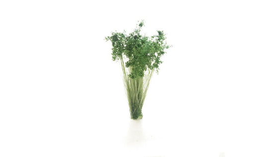 Woodland Scenics 778, Peel 'N Place, Prairie Grass Tufts, Dark Green, 20 Pieces - House of Trains