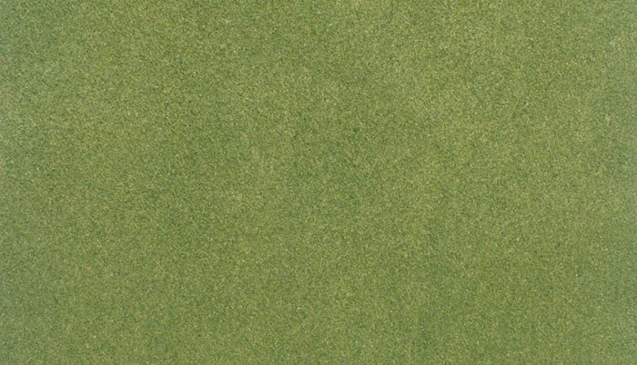 Woodland Scenics RG5121, Grass Mat, 50" x 100", Spring Green - House of Trains