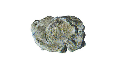 Woodland Scenics 1237, Rock Mold, Wind Rock - House of Trains