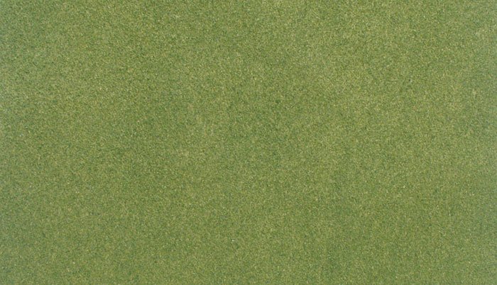 Woodland Scenics RG5171, Grass Mat, 25" x 33" Spring Green - House of Trains